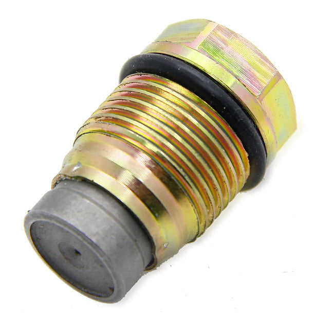 1110010015 1110010017 1110010018 1110010028 Fuel Rail Pressure Valve Relief Limiter Valve for DAF FORD KIA VOLVO SUZUKI