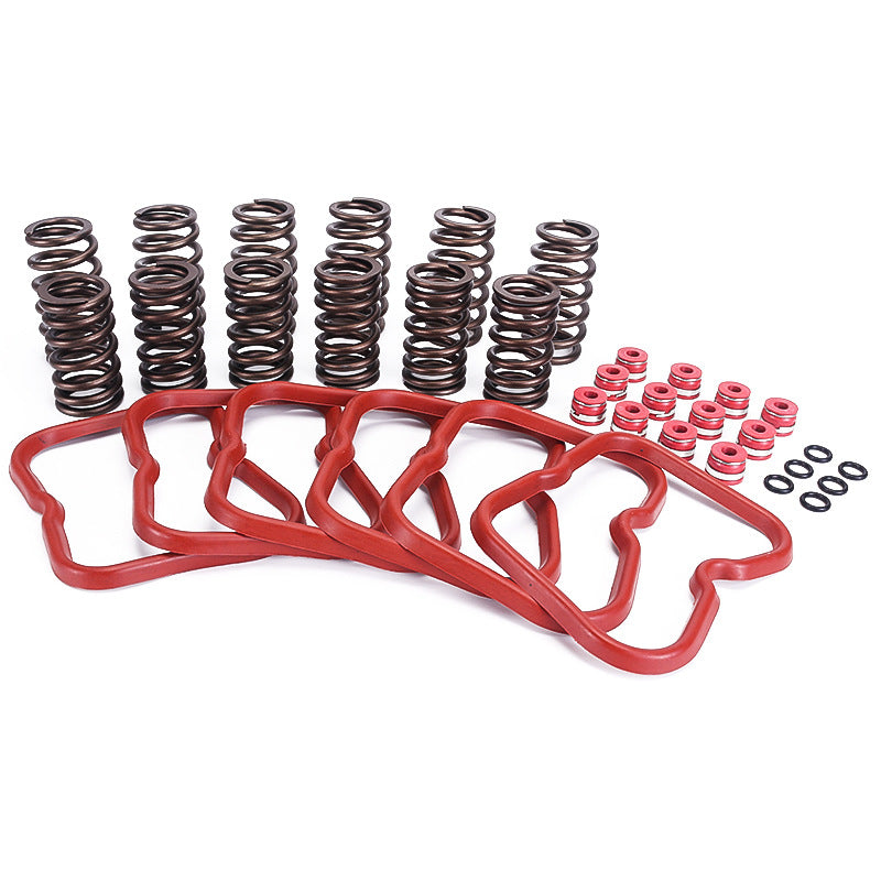 12V High RPM Valve Springs Gaskets 3916691 Cummins