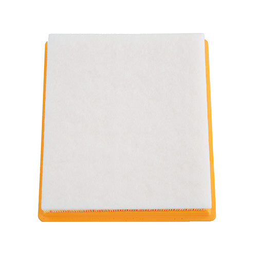 20972655 Engine Air Filter for Cadillac XTS Chevrolet Impala Malibu