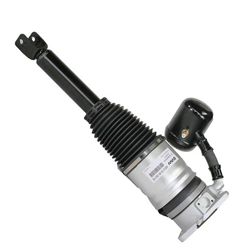 4E0616001E 4E0616002E Air Suspension Strut Rear Left Right for Audi A8