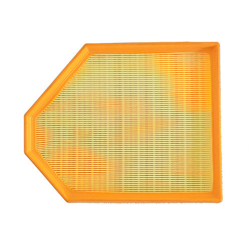 13717601868 Air Filter for BMW X3 X4