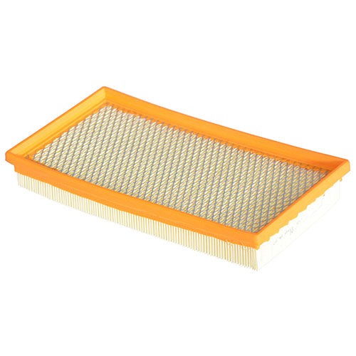 A1163C 25098463 GENERAL MOTORS 19166104 19259086 ISUZU 8250984630 Engine Air Filter for Chevrolet Trailblazer